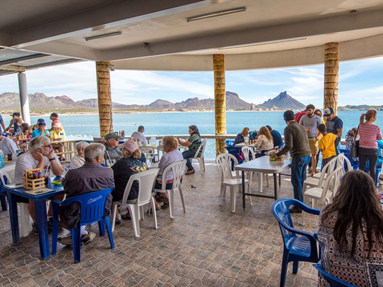 Marinafront Condos San Carlos Mexico First Choice Property