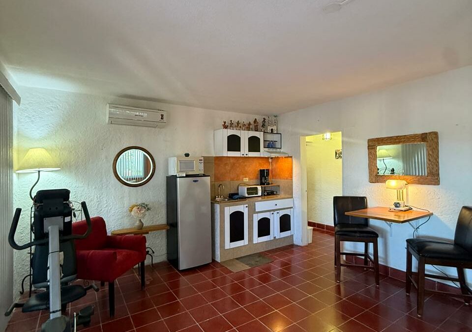 Manglares 103 – Apartment